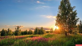 Летних дней прощальные сюжеты.... в музыке Сергея Чекалина - День за днем