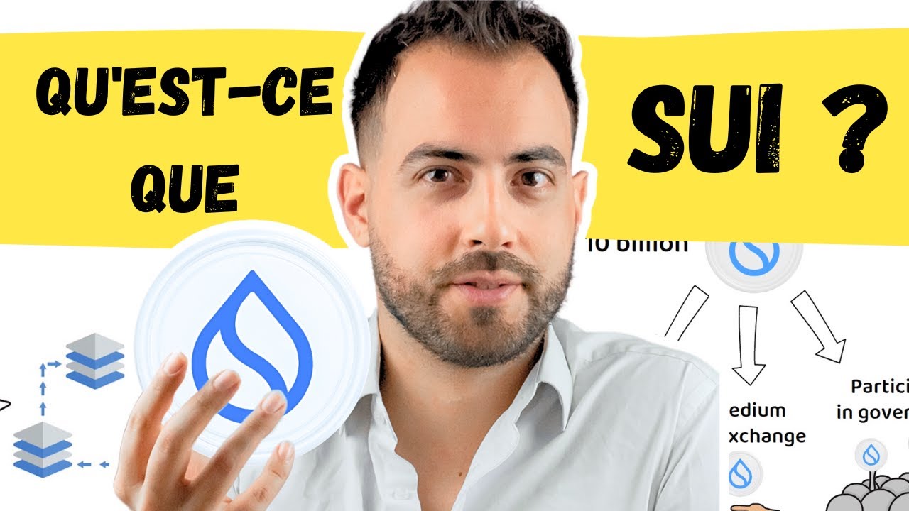 Qu'est-ce que le réseau Sui ? Explication de la tokenomie SUI !