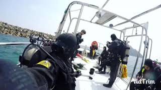 Diving in Korea