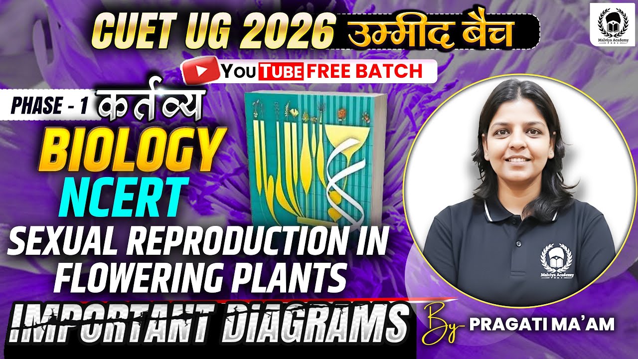 CUET 2026 Biology | NCERT Important diagrams | Sexual reproduction in ...