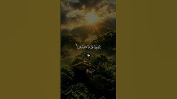 قرآن كريم راحة نفسية 🤍🎧 متابعة للصفحة فضلاً 🥰🤍 #قرآن #قران_كريم