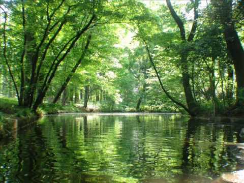 【アルト】未来