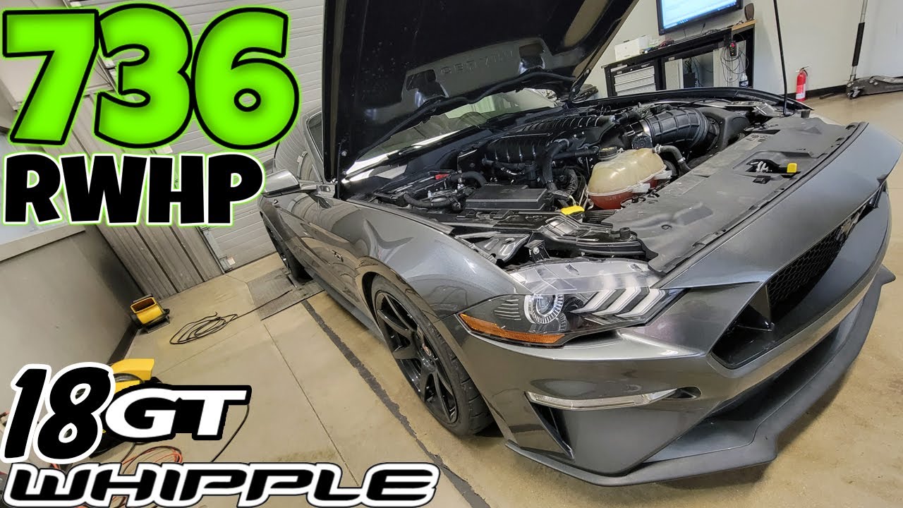 2018 Mustang GT Dyno (Whipple Supercharger Stage 2 Manual Trans) Kooks