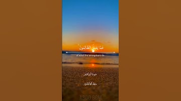 الآية 42 سورة إبراهيم سعد الغامدي #القران_الكريم #quran #سعد_الغامدي #سعود_الشريم