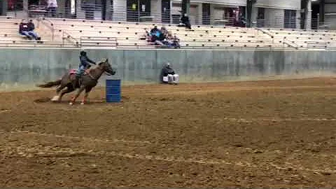 4-19-19 Sam Cardinale