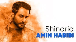 Amin Habibi  - Shinaria (امین حبیبی - شیناریا)