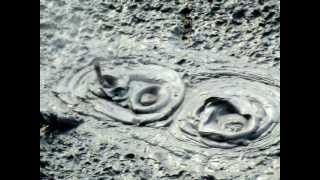 mudpots