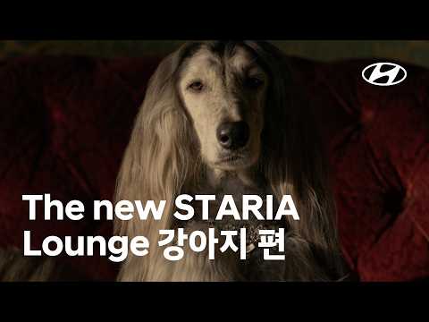 The new STARIA <strong>Lounge</strong> | 강아지 편