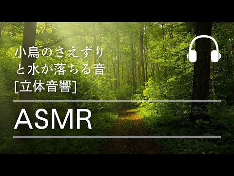 [ASMR][リモートワーク][立体音響]小鳥のさえずりと水が落ちる音