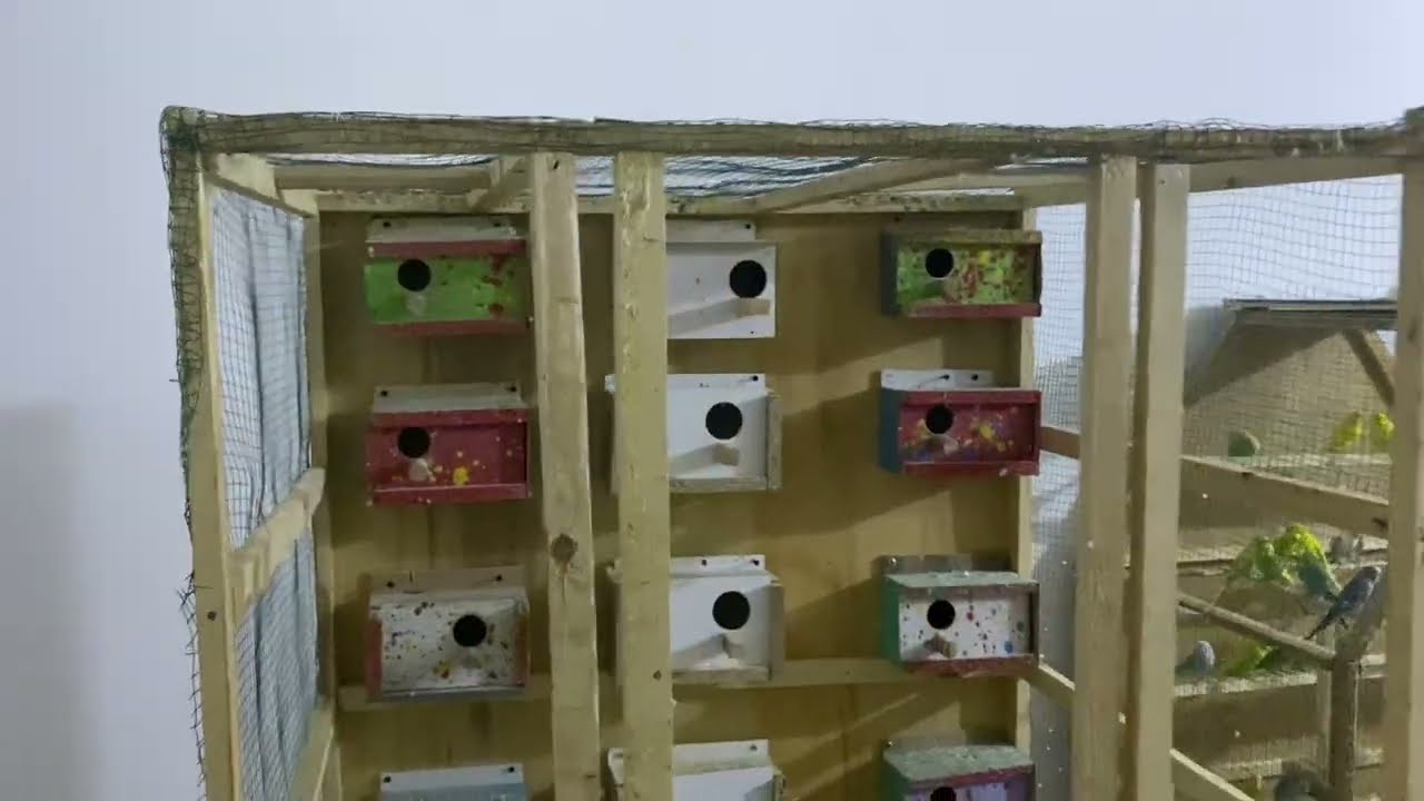 صنعت اكبر برج طيور حب 😱🔥