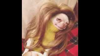 Dog Music Fun From The Tumblr