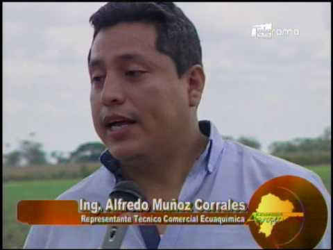 Ecuador Agropecuario 06-04-2017