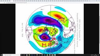 Fifth Spring 2020 Analogues Update