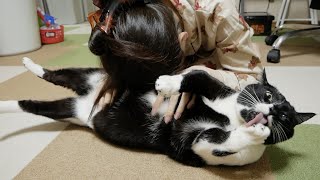 流血事故の罰として猫まくらしてやりました！
