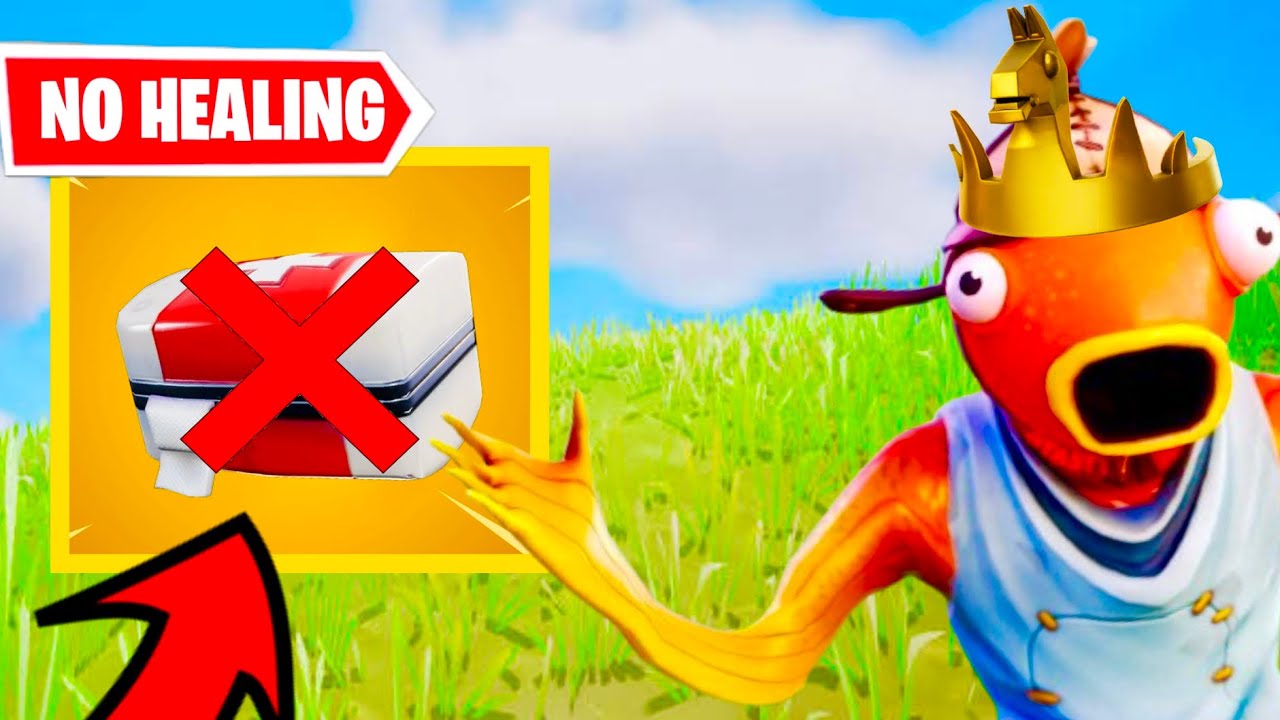 No Healing Challenge (Can I Win?)