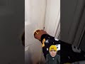 KAMAR CANTIK #funny #woodworking #automobile #diy #challenge #memes #shortvideo