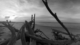 Using snapseed to create black and white grainy photo. screenshot 5