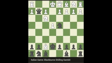 Italian game : Blackburne shilling gambit #chess #chessmastermind #chessgrandmaster #chessgame