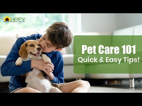 Pet Care 101 – Quick & Easy Tips! Pet Care 101 – Quick & Easy Tips!