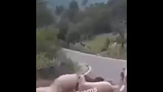 Madlipz viral ( Kelakar Habis )