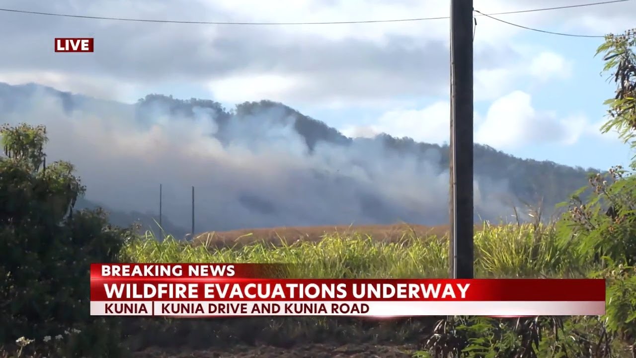Kunia brush fire prompts evacuation orders - YouTube