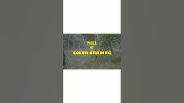 Power of Color Grading in #davinciresolve #shortfilm #sonya6100 #film #trending #illumine26 #sony