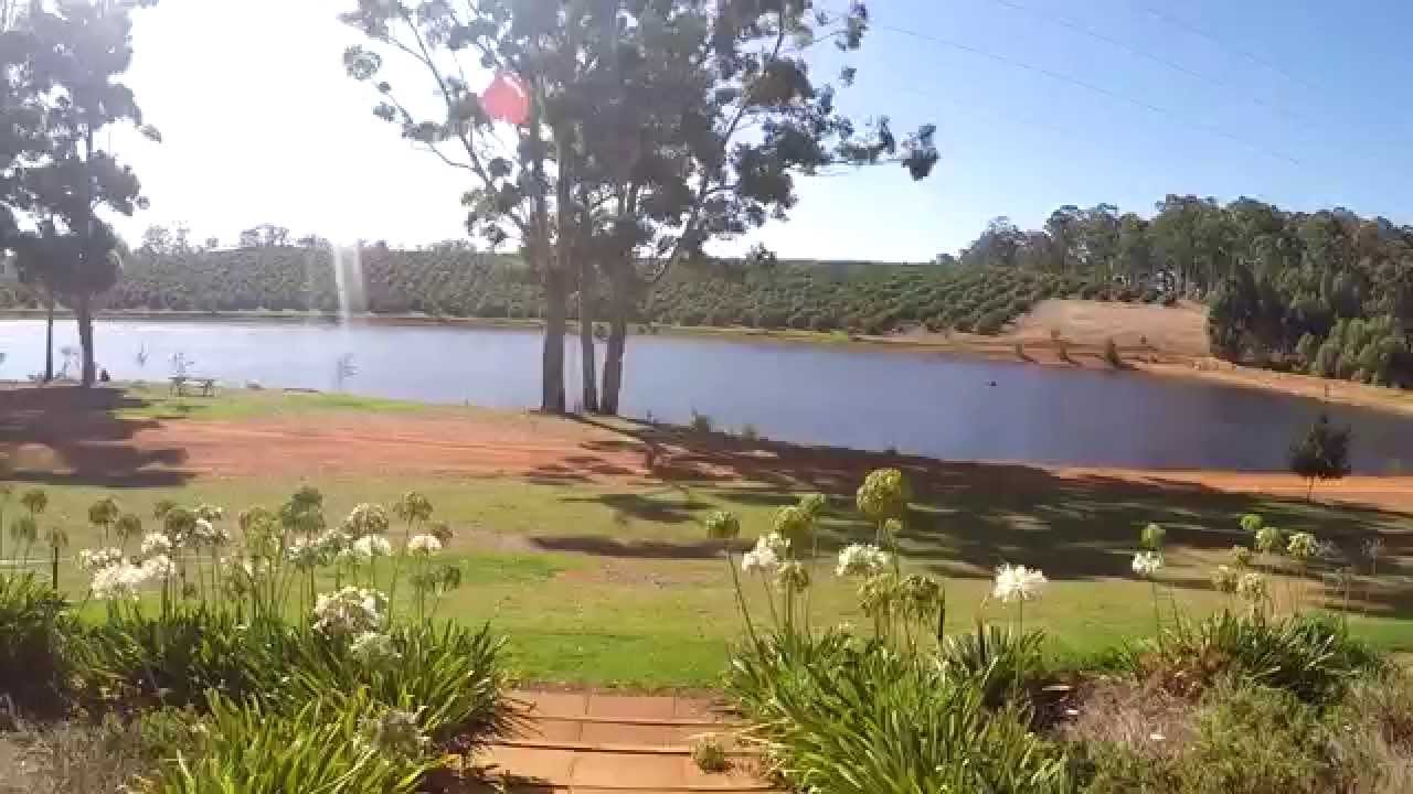 Avocado farm Western Australia