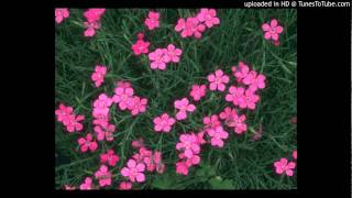 surah noor abdul wadud haneef