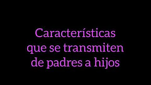 ¿Qué rasgos se transmiten del padre?