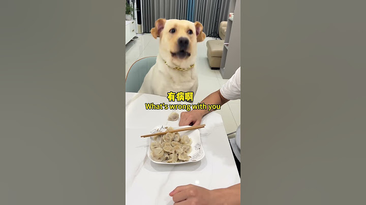肉肉说了算🐶：狗子最后一句骂的可难听了