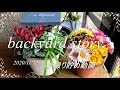 【ガーデニング】backyard story 裏庭物語　先祖返りしたアジュガの整理や秋にやった作業の動画です