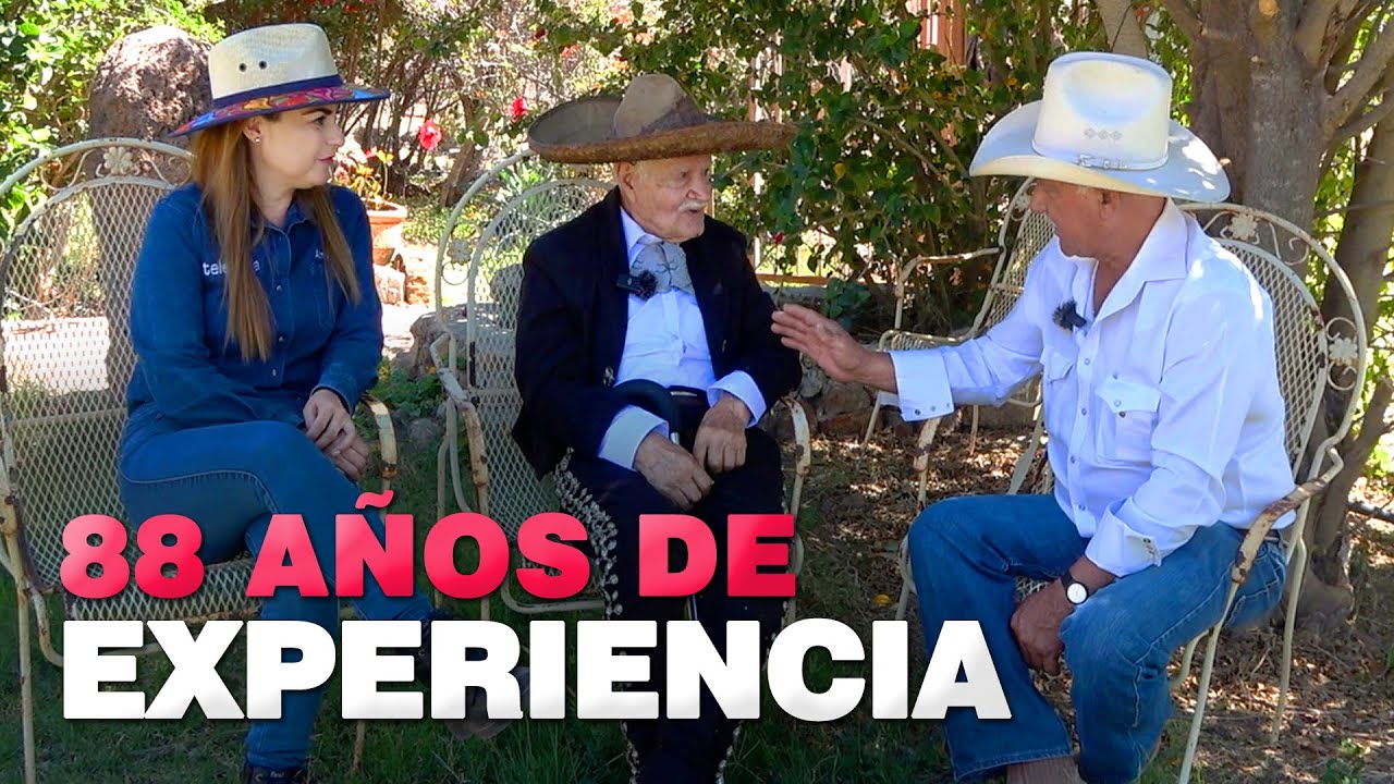 INICIE con una VACA FLACA y un BUEY VIEJO