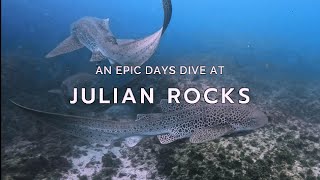 Scuba Diving Julian Rocks with INCREDIBLE Marine Life   Byron Bay  4K