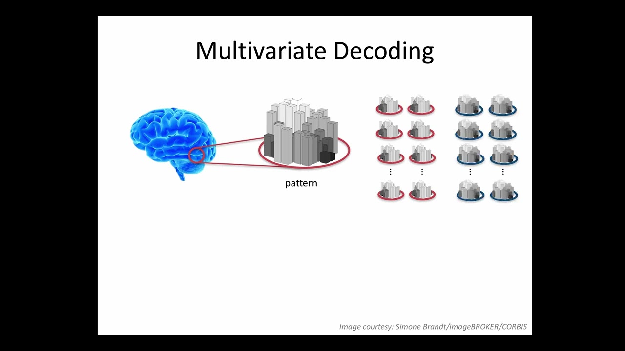 fMRI Course 2017: Multivariate pattern analysis and brain decoding by Martin Hebart