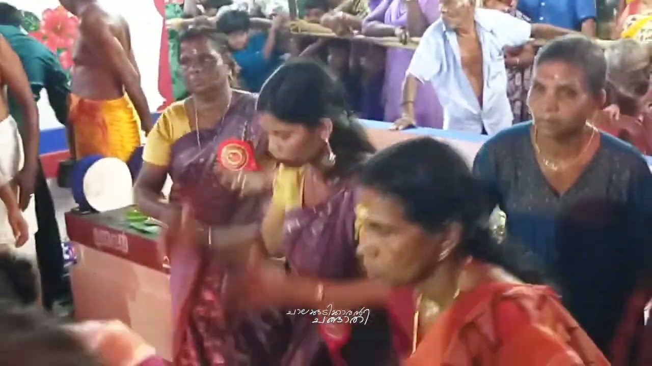 2026 അശ്വതി വേല പതിയാംകുളങ്ങര ക്ഷേത്രം അരിപ്പാലം 