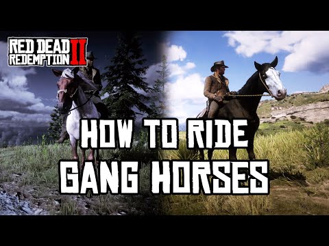 Video: Igralci Red Dead Online Našli Množični Grob Mrtvih Konjev