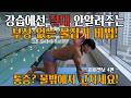 하이엘보 어깨 통증, '이 스트레칭' 안 하면 100% 다칩니다. 자유형 물잡기, 왜 나만 안될까? 물 밖에서 '이곳'부터 열어주세요! 어깨 부상 방지 루틴 -하이엘보4편-