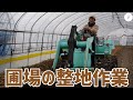 【いちご栽培】畝の整地作業