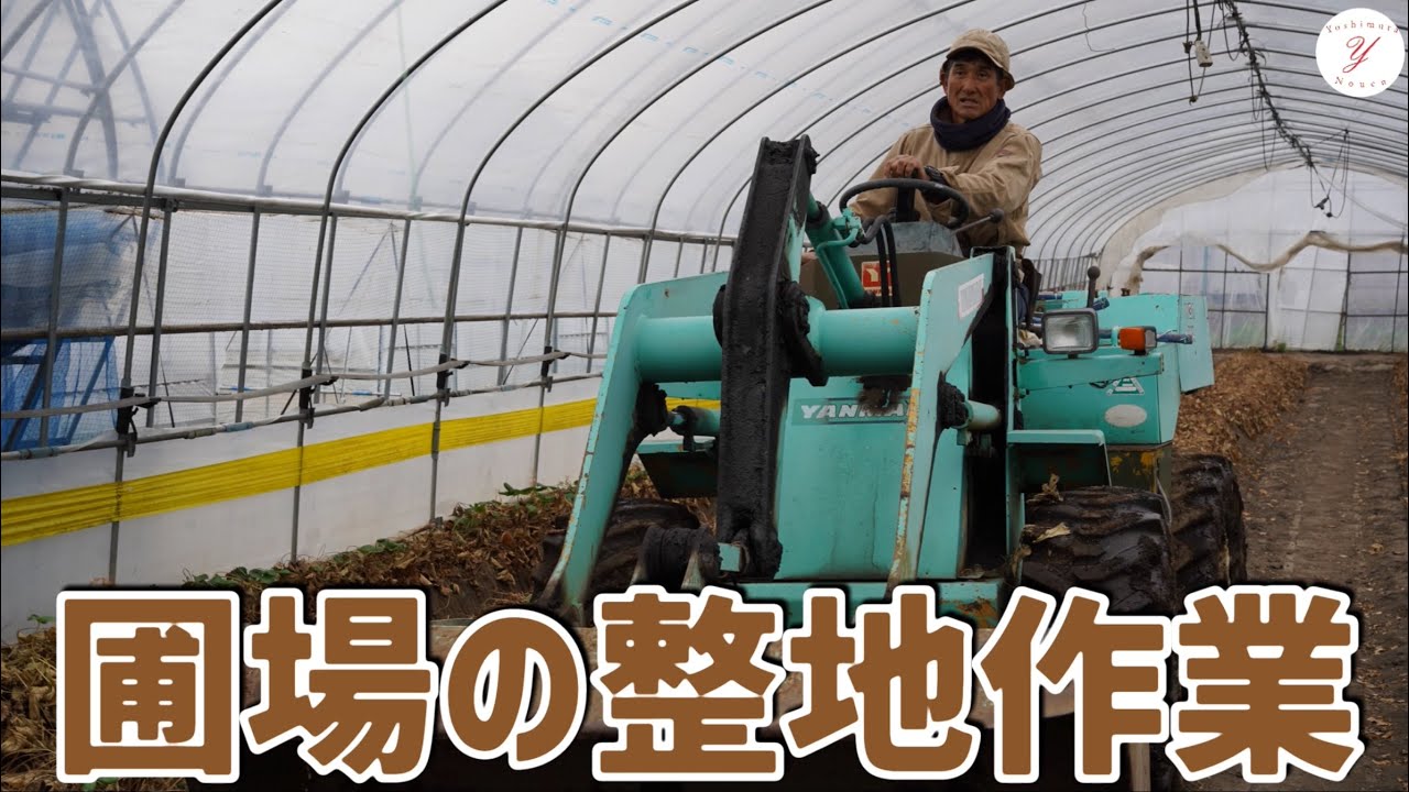 【いちご栽培】畝の整地作業