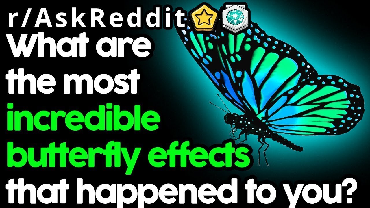 Reddit StoriesReal Life 'Butterfly Effects'! YouTube