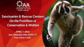 Sanctuaries and rescue centers: On the frontline of conservation and welfare | SARCC