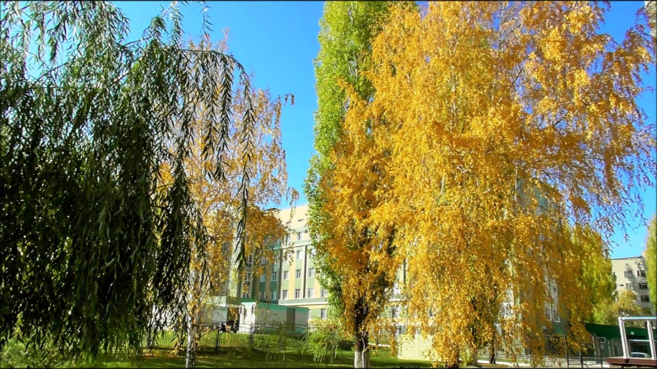 Осенний Тамбов Фото