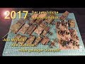 Jahresrückblick 2017 - Alle Modelle, alle Outtakes