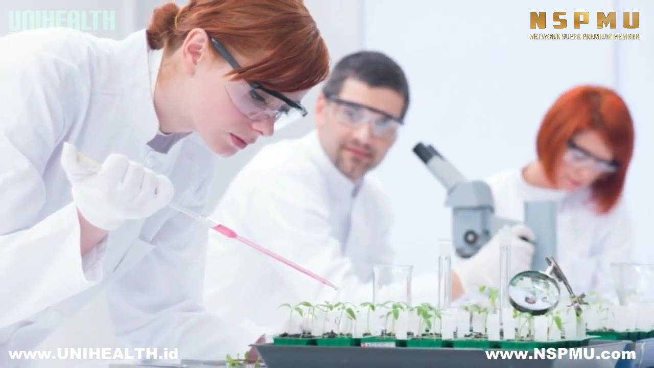 Nutrasetika - Nutrisi Standar Farmasi Fito Farmaka - www.Unihealth.id - www.NSPMU.com - 081511779205