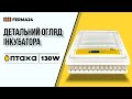 Інкубатор ПТАХА 130-W. Детальний огляд