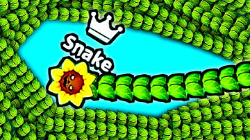SNAKE.IO - FUN SNAKE .IO GAMEPLAY ( SUNNY 🌞 POTTS )