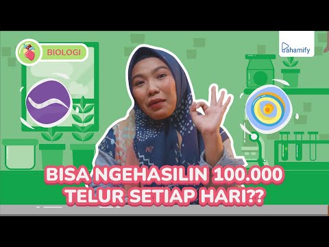 Biologi Kelas 10: Nematoda - Ciri-ciri, Sistem Organ dan Sistem Reproduksi