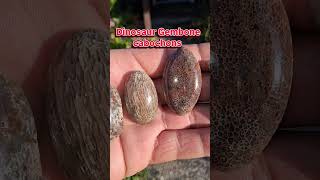 4 petrified dinosaur Gembone #cabochons #jewelry #handmade #gembone #fossil #pendant #gemstone #gems
