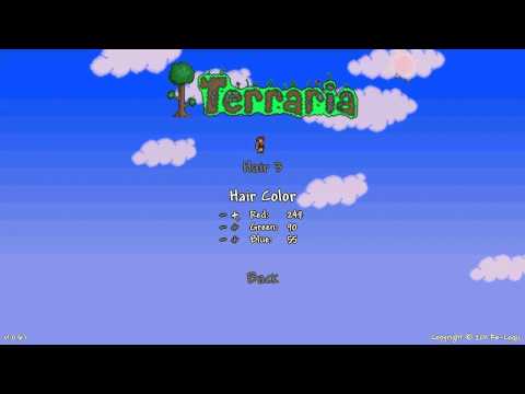Terraria Character Creation