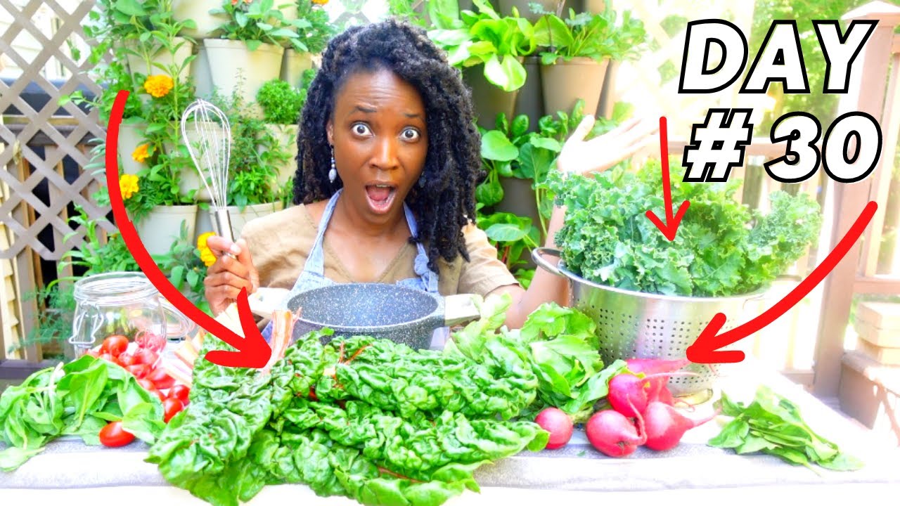 FAST FOOD from a Small GARDEN 7 Meals from food grown in 30 Days Instant Pot Teacher